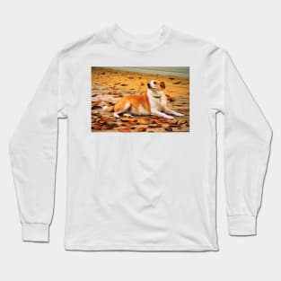 Fall Fusion Long Sleeve T-Shirt